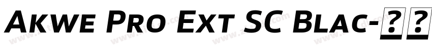 Akwe Pro Ext SC Blac字体转换